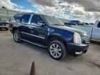 2008 CADILLAC ESCALADE