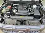2025 NISSAN Frontier