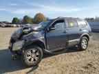 2009 KIA Borrego