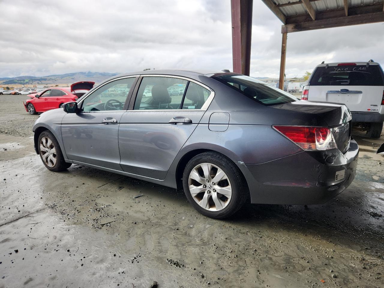 2010 HONDA ACCORD