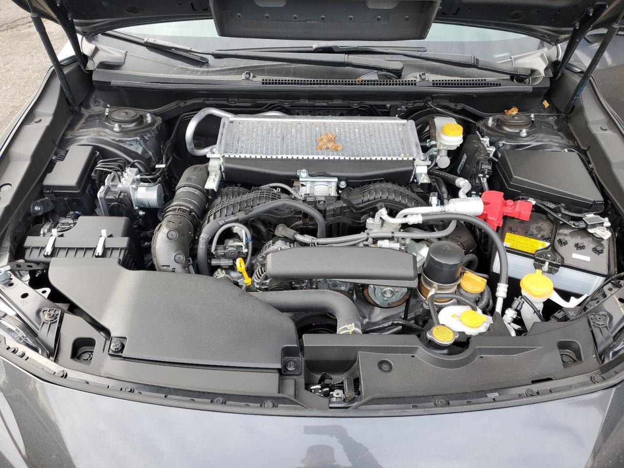 2024 SUBARU WRX