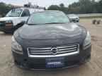 2013 NISSAN Maxima