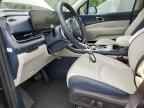 2025 KIA Carnival