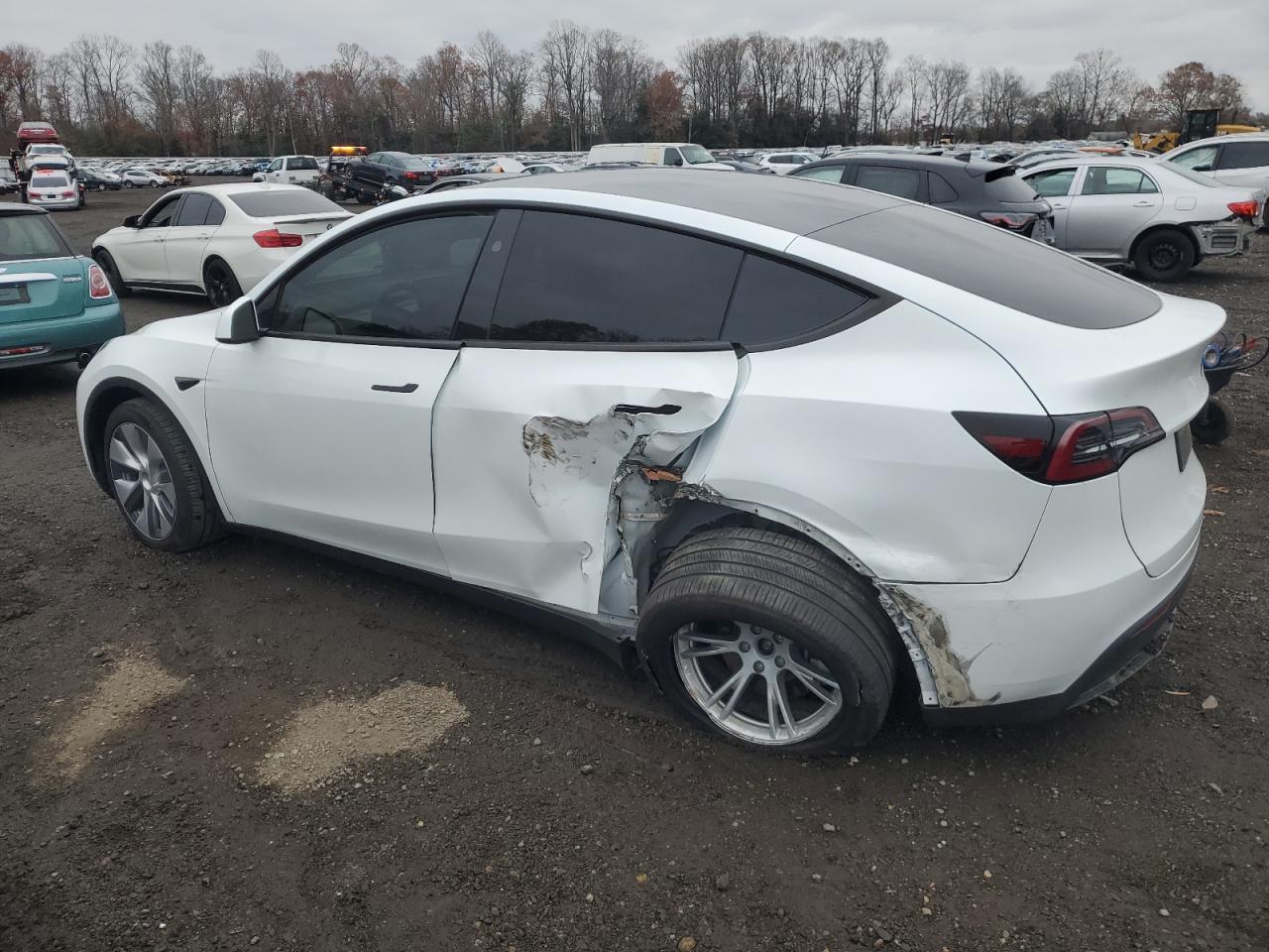 2024 TESLA MODEL Y