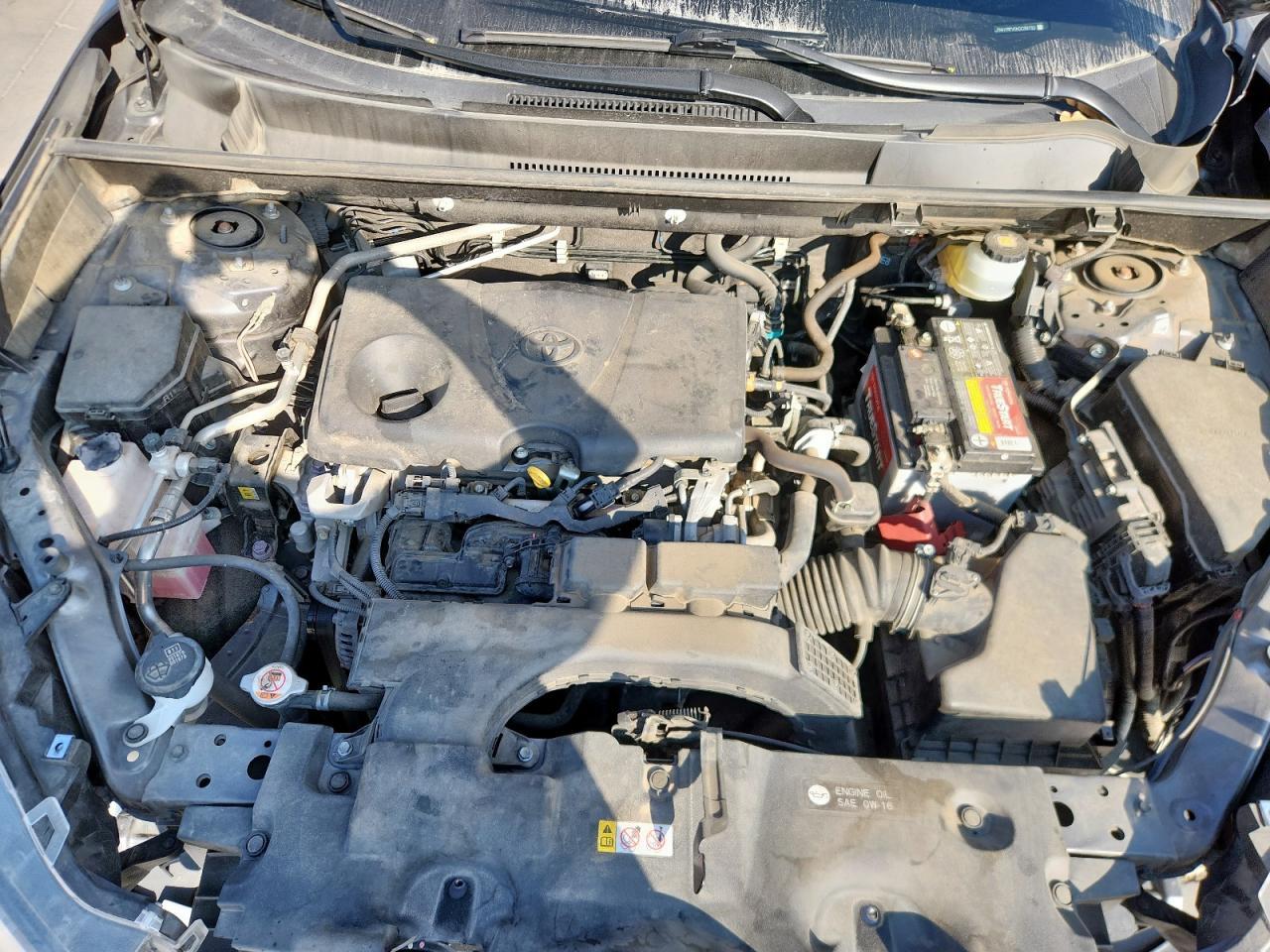 2019 TOYOTA RAV4