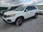 2013 KIA SORENTO
