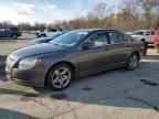 2010 CHEVROLET MALIBU