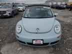 2006 VOLKSWAGEN Beetle