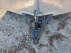 2023 Aris Unknown
