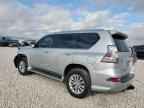 2019 LEXUS GX 460
