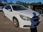 2013 CHEVROLET MALIBU