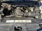 1997 FORD F-150