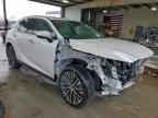 2024 LEXUS RX 350