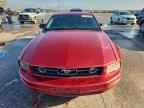 2006 FORD MUSTANG