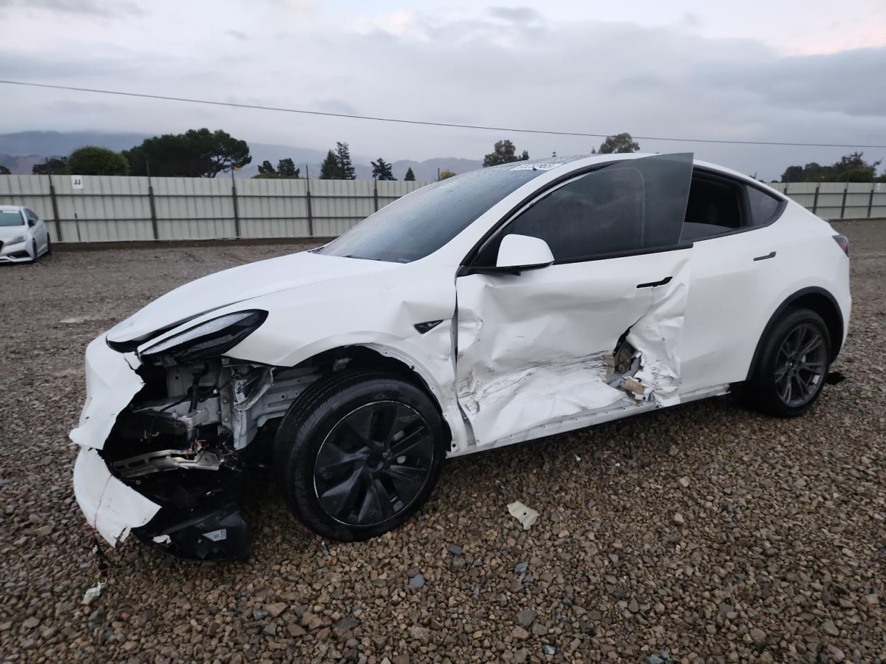 2024 TESLA MODEL Y