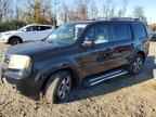 2013 HONDA PILOT