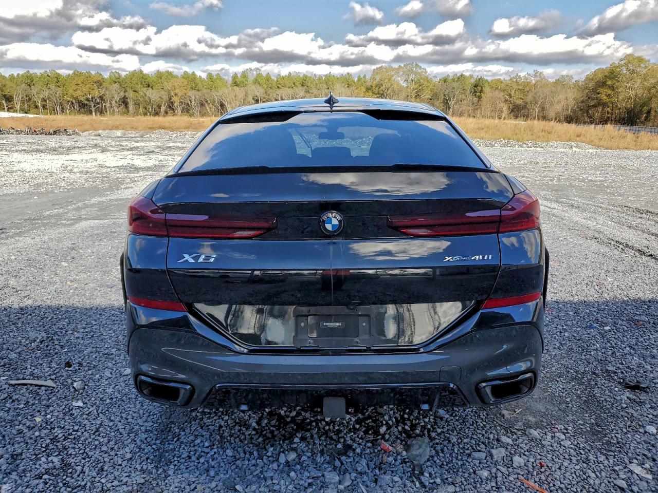 2023 BMW X6