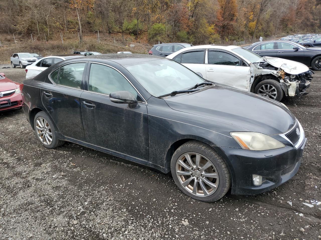 2009 LEXUS IS 250