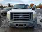2009 FORD F-150