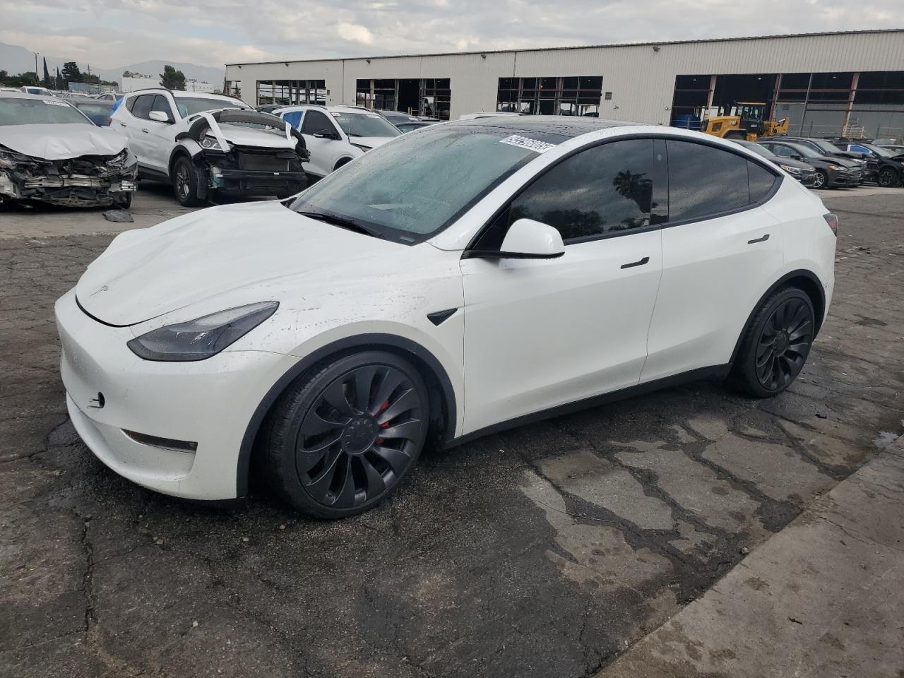 2023 TESLA MODEL Y