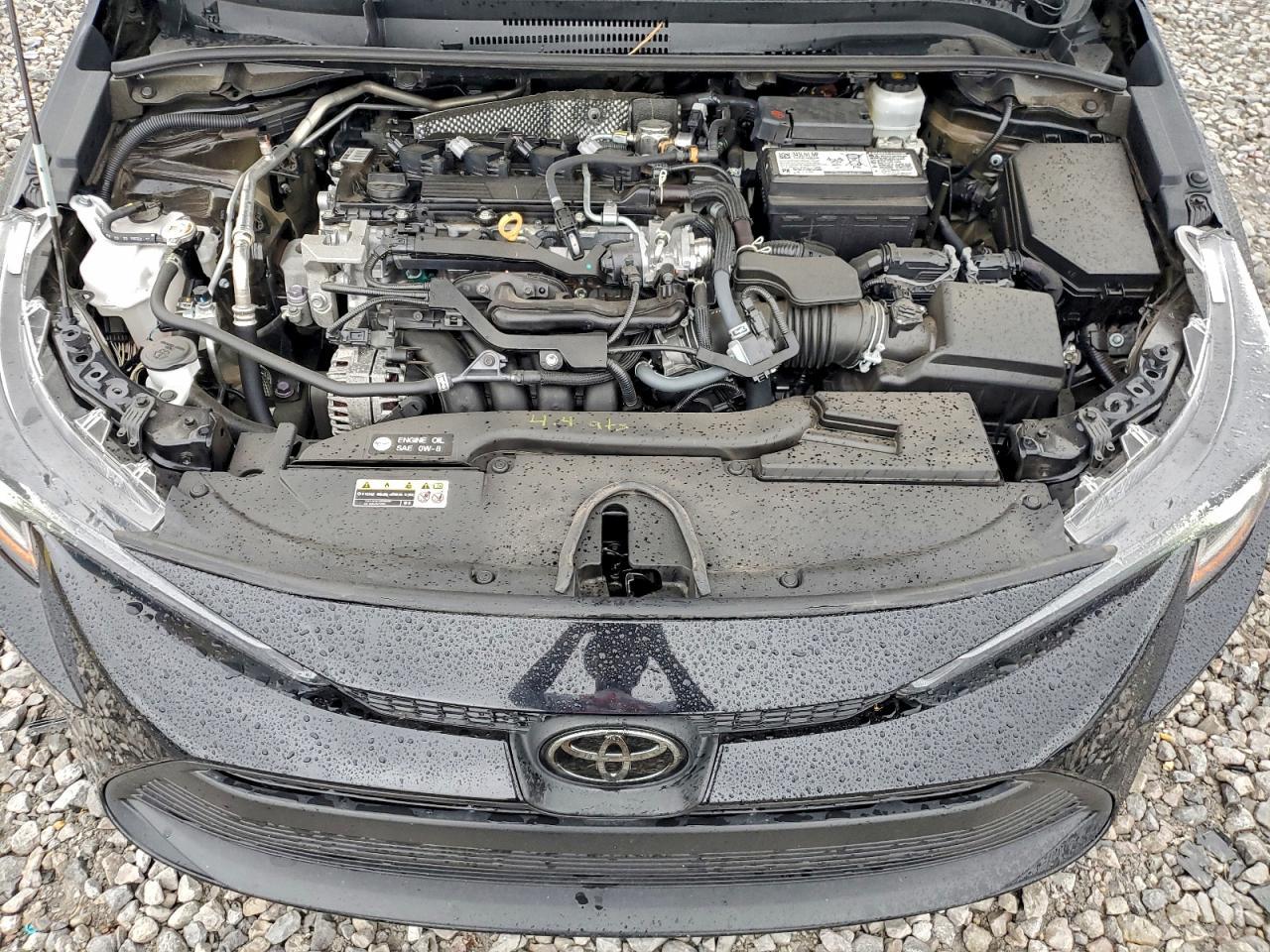 2024 TOYOTA COROLLA