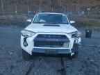 2019 TOYOTA 4Runner