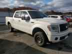 2013 FORD F-150 Lightning