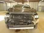 2025 TOYOTA 4Runner