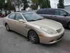 2003 LEXUS Es 300