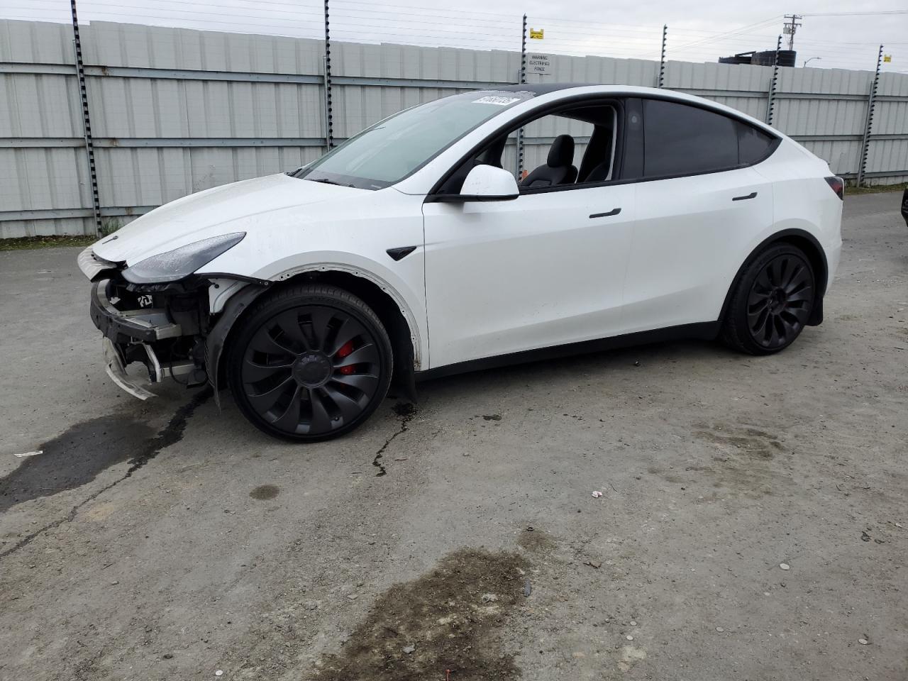 2023 TESLA MODEL Y