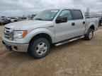 2009 FORD F-150