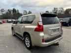 2010 LEXUS GX 460