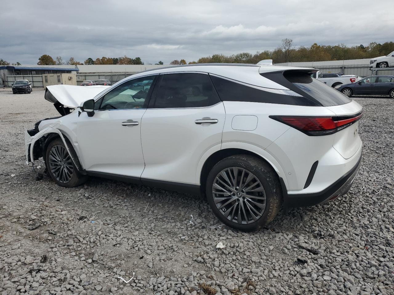 2024 LEXUS RX 350