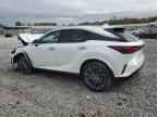 2024 LEXUS RX 350
