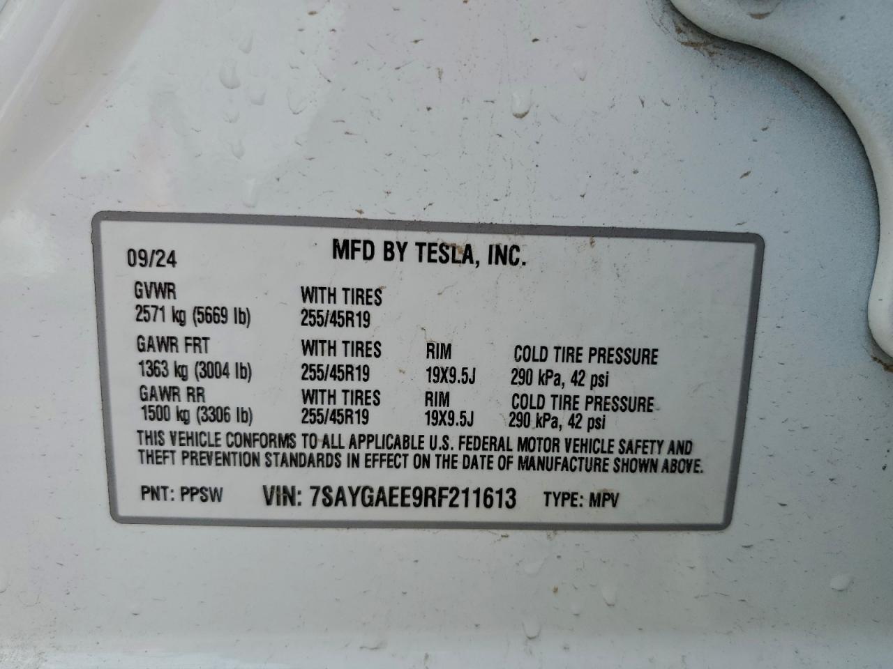 2024 TESLA MODEL Y