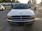 2002 DODGE Dakota