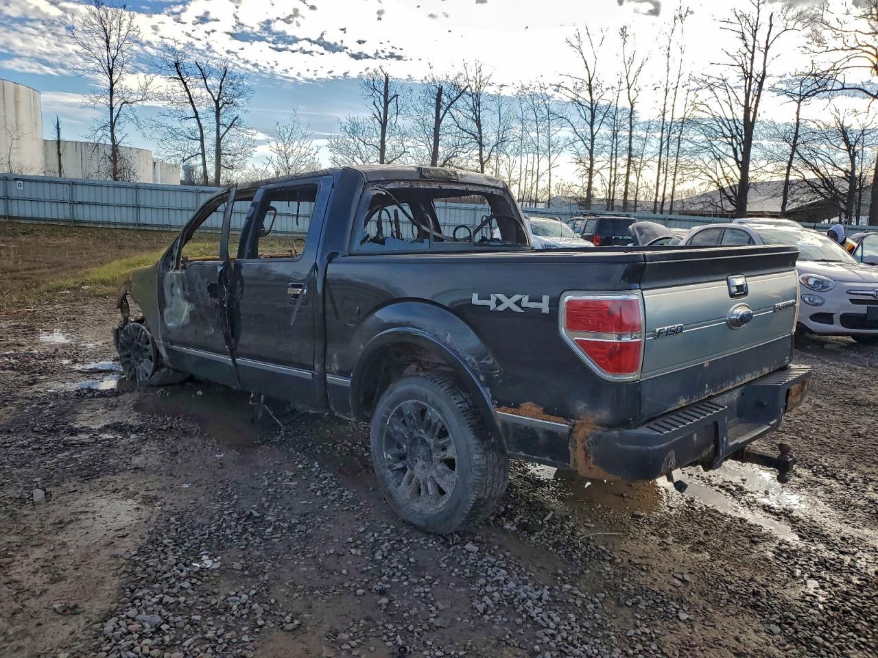 2010 FORD F-150