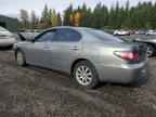 2004 LEXUS ES 330