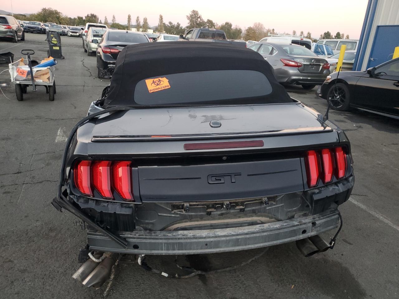 2019 FORD MUSTANG