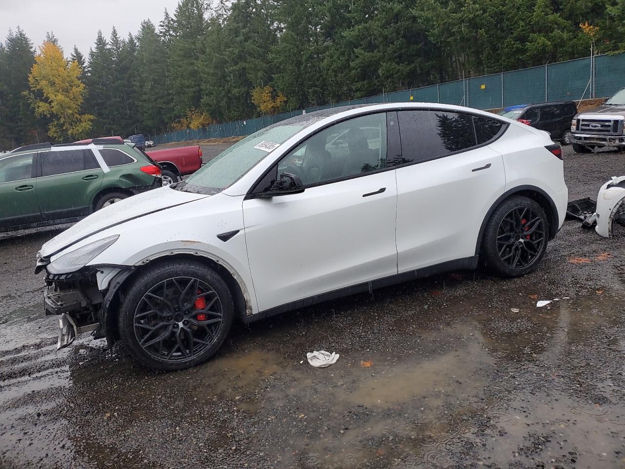 2021 TESLA MODEL Y