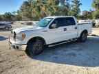 2013 FORD F-150 Lightning