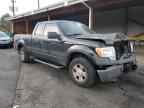 2009 FORD F-150