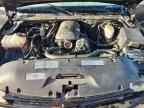 2005 CHEVROLET Tahoe