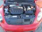 2019 VOLKSWAGEN Beetle