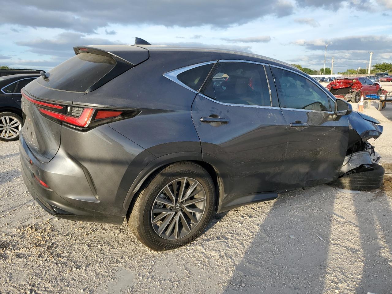 2025 LEXUS NX 250
