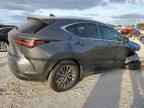2025 LEXUS NX 250