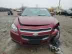2010 CHEVROLET MALIBU