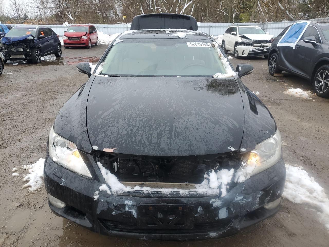 2010 LEXUS LS 460
