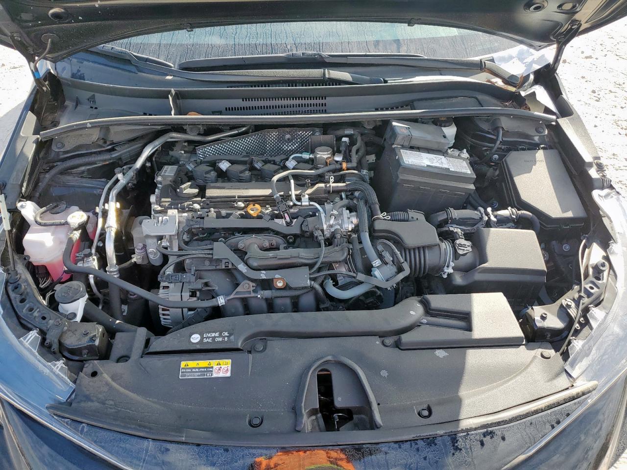 2023 TOYOTA COROLLA