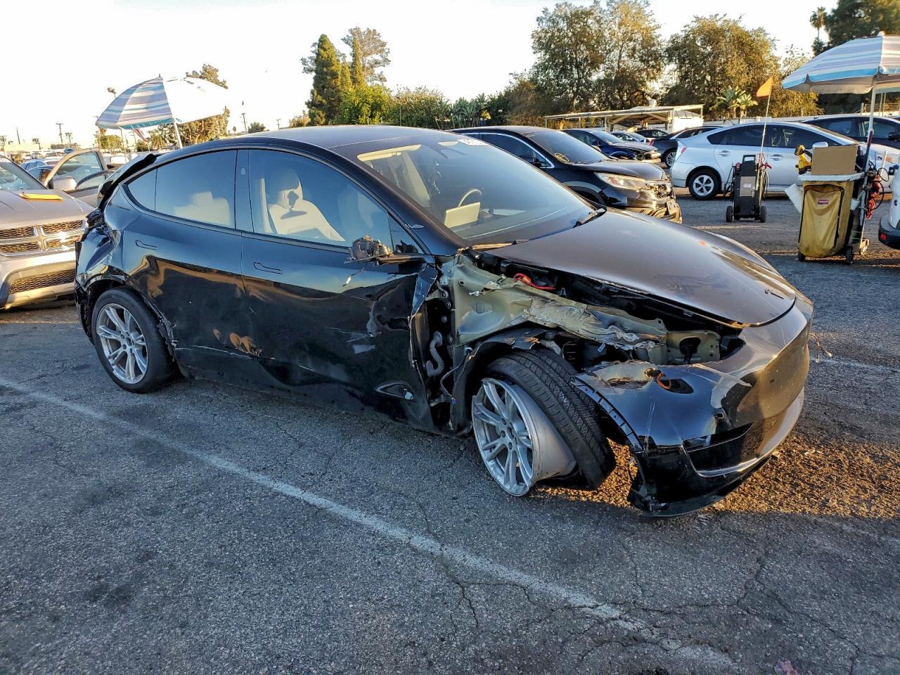 2024 TESLA MODEL Y